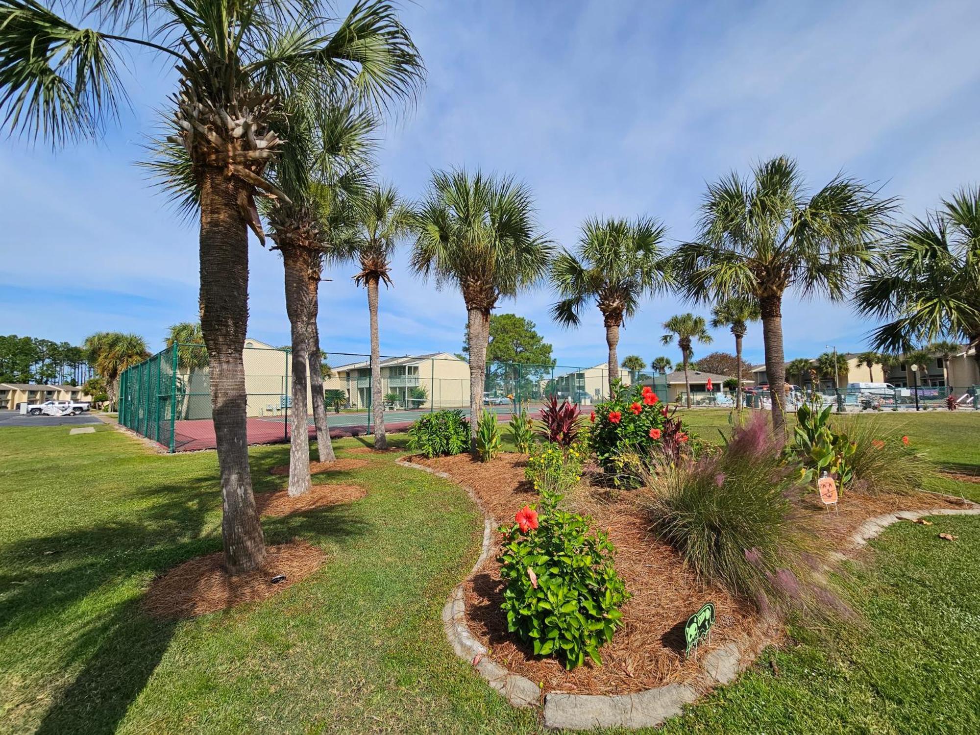 The Sanddollar At Gulf Highlands Beach Resort Panama City Beach Exteriör bild